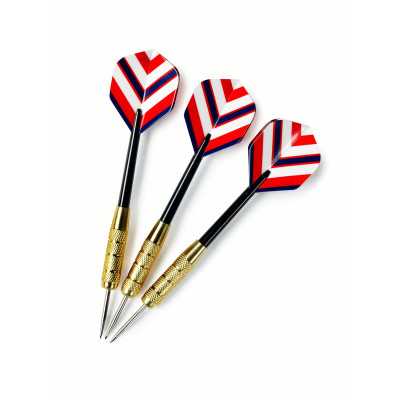 Dartpilar i stål 20 gram 3-pack reservpilar till darttavla