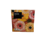 Kaffeservetter 25x25 cm 20-pack – välj motiv