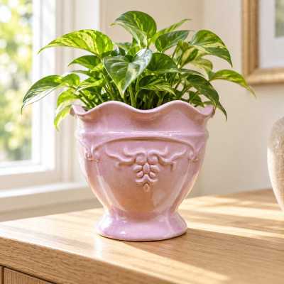 Rosa kruka Rosalie på fot från CaesarCollection med en liten grön växt på en träbyrå