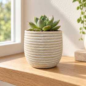 Liten beige kruka Sand med randig struktur och en grön suckulent på en trähylla