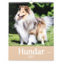 Hundkalender 2027 från Pinky Pine med collie på omslaget