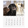Hundkalender 2027 – januari med labradorer, namnsdagar och veckonummer