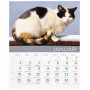 Kattkalender 2027 – januari med kattmotiv, svenska namnsdagar och veckonummer