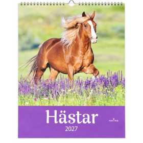 Hästkalender 2027 från Pinky Pine med häst bland lila blommor på omslaget