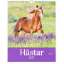 Hästkalender 2027 från Pinky Pine med häst bland lila blommor på omslaget